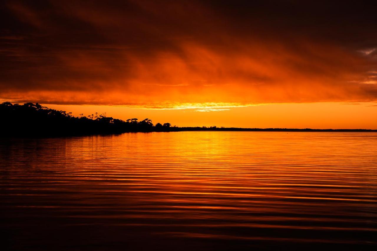 Вілла Waterfront Retreat At Wattle Point Forge Creek Екстер'єр фото